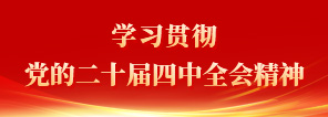 学习贯彻党的二十届四中全会精神